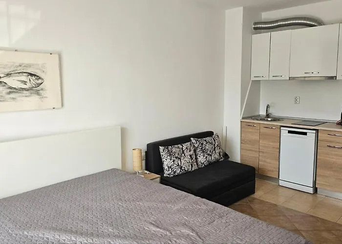 Vladan Apartament *
